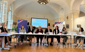 В Петербурге обсудили роль НКО в укреплении института семьи