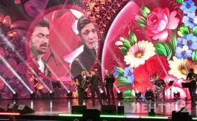 В Петербурге начался концерт в честь Дня семьи, любви и верности