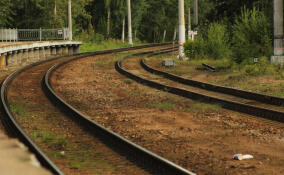 Турист из Калининграда попал под грузовой поезд на станции Мга