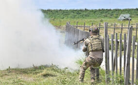 Мотострелки освободили населённый пункт Толстой в ДНР