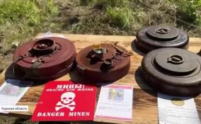 Военные инженеры продолжают работы по разминированию в приграничных районах Курской области