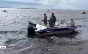 Ленобласть нацелена на разведение рыбы