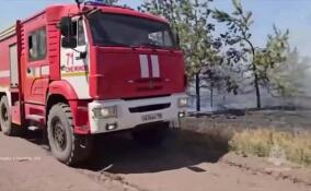 Крупные природные пожары охватили ДНР