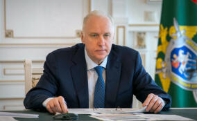 Бастрыкин потребовал доложить ему о расследовании нападения на медика в Ленобласти