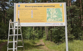 В Ленобласти обновляют инфраструктуру на ООПТ