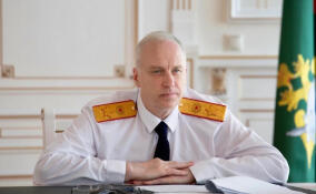 Александр Бастрыкин заинтересовался сообщениями о неадекватной женщине в Мурино