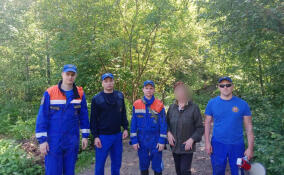 Любительница лесных прогулок заплутала у Осельков