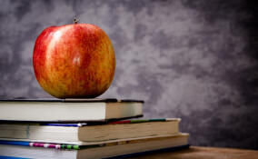 С 1 сентября ленинградские школьники перейдут на региональные учебники