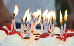 Житель Выборга попал в больницу после избиения в день рождения