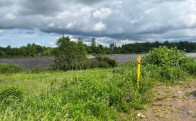 Газ придет еще в 140 домов в Тосненском районе