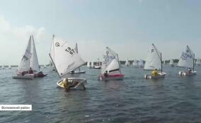 Соревнования по парусному спорту прошли в Новой Ладоге