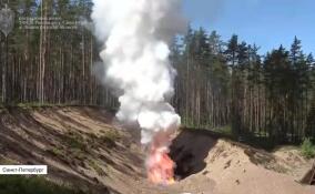 Полтонны кокаина сожгли на полигоне в Петербурге