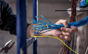 Свыше 760 км незаконных волоконно-оптических линий выявили в Ленобласти