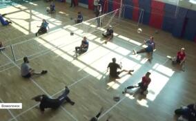 Во Всеволожском Мультицентре состоялся товарищеский матч по волейболу сидя