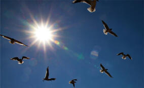 Ближайшие три дня без изменений: синоптик Колесов о погоде в Петербурге и Ленобласти