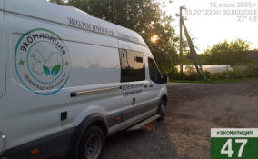 Экомилиция провела замеры воздуха в Никольском и Красном Бору