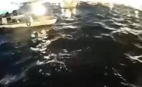 Два теплохода столкнулись после разводки мостов в Петербурге