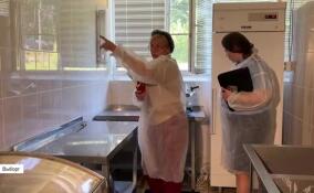 Межведомственная комиссия проверила детский лагерь в Выборге