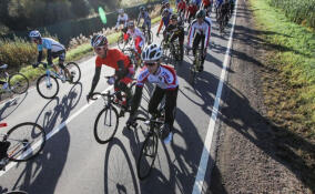 Велогонка «Гран Фондо» изменит ряд маршрутов в Ленобласти