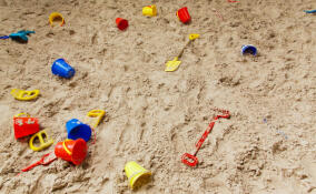 Специалисты Роспотребнадзора предупредили россиян о вирусах, бактериях и паразитах из песочницы