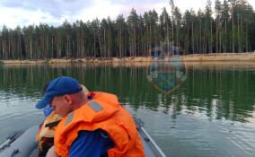 Мужчина утонул в карьере Запстрой у деревни Керро