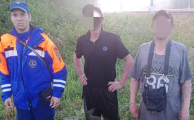 Спасатели и волонтеры искали двух пропавших мужчин в лесу у ж/д станции Пелла