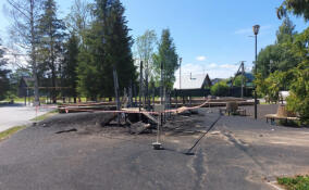 Полицейские ищут поджигателей детской площадки в поселке Рахья