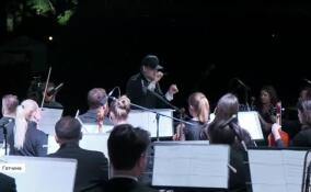 В музее-заповеднике «Гатчина» возобновили «Ночь музыки»