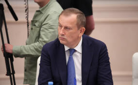 Александр Дрозденко: сегодня Ленобласть — ключевой логистический хаб Северо-Запада