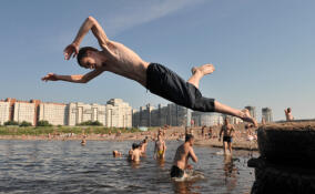 Только два водоема Ленобласти признали пригодными для купания