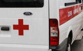 Из окна многоэтажки в Тихвине выпала пятилетняя девочка