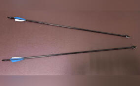 На проходной предприятия в Петербурге мужчина ранил работниц стрелами