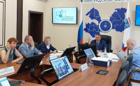 На 23 июля к губернаторским выборам в Ленобласти допущены два кандидата