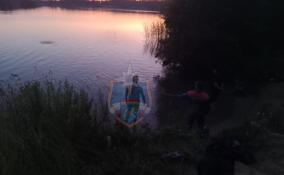 Водолазы нашли тело утонувшего подростка в Пугаревском карьере