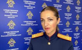 Женщина пойдет под суд за убийство знакомой в Кудрово