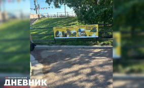 Вандалы повредили плакат у львов на Дворцовой пристани