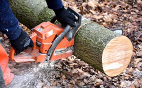 При заготовке леса в Тихвинском районе погиб рабочий