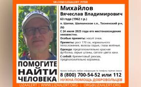 В Ленобласти пропал 63-летний мужчина из посёлка Шапки