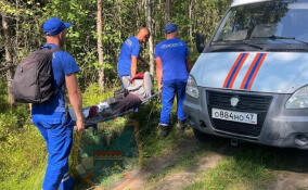 Из леса под Приозерском эвакуировали женщину, повредившую ногу