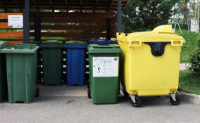 Губернатор поручил проконтролировать ситуацию с вывозом мусора в СНТ и ДНП Ленобласти