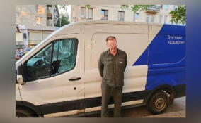 Пьяный мужчина крушил каршеринговый фургон на Парголовской улице