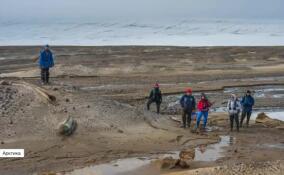 Ученые обнаружили останки древних китов в Арктике