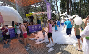 Во Всеволожском районе проходит слёт семей, воспитывающих детей с ОВЗ