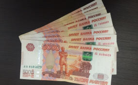 Жителям Ленобласти напомнили о ежемесячной выплате инвалидам по зрению с детства