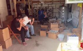 Подпольный цех по производству суррогатной водки ликвидировали в Васкелово