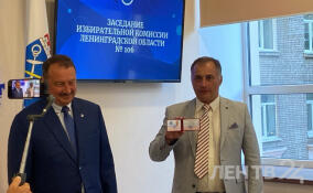 Лисовский и Малинкович официально зарегистрированы кандидатами в губернаторы Ленобласти