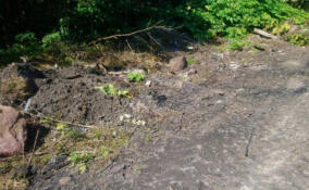 Две нелегальные свалки ликвидировали в Волосовском районе