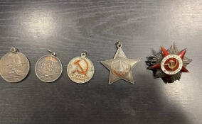 Петербуржец получил крупный штраф за контрабанду орденов и медалей