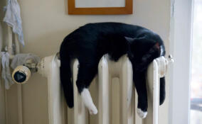 В Ленобласти открыли прием заявок на ремонт объектов теплоснабжения в 2027 году