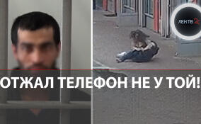 Девушка догнала и повалила на землю грабителя в Химках